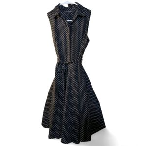 Banana Republic Polka Dot dress (Size: 0P)